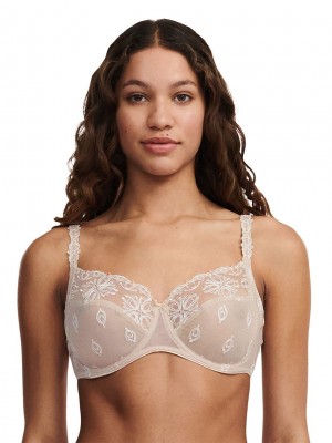 Beige Chantelle Champs Elysees Full Coverage Women Unlined Bra | KLZ3074XF