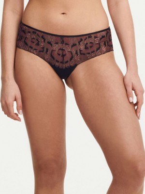 Black Multicolor Chantelle Nightfall Lace Women Hipster Panty | RWB2949OS