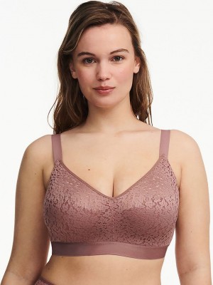 Brown Chantelle Norah Comfort Supportive Wirefree Women Bras | DYI9765AD