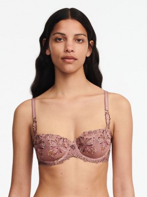 Brown Multicolor Chantelle Champs Elysees Lace Demi Women Unlined Bra | OGU1587II