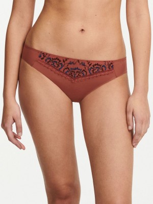 Brown Multicolor Chantelle Every Curve Women Bikini Bottoms | JEZ4948YD