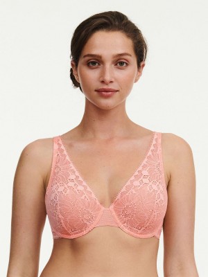 Coral Chantelle Day to Night Lace Lightweight Plunge Women Bras | CIY4592KD