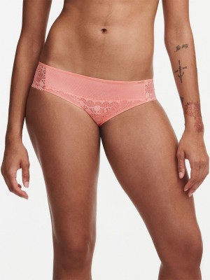 Coral Chantelle Day to Night Women Bikini Bottoms | HJV5614LH