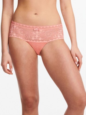 Coral Chantelle Day to Night Women Hipster Panty | PFF7948PB