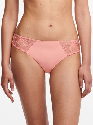 Coral Chantelle Fleurs Women Bikini Bottoms | RAJ962YG