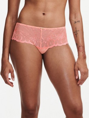 Coral Chantelle Fleurs Women Hipster Panty | NGQ6125ZQ