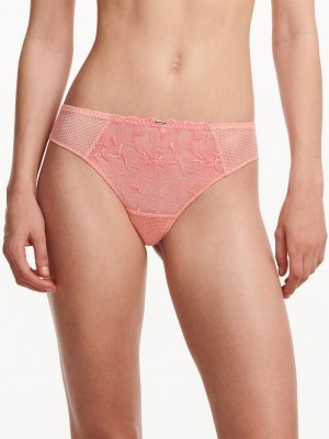 Coral Chantelle Fleurs Women Thong Panty | VED4428JG