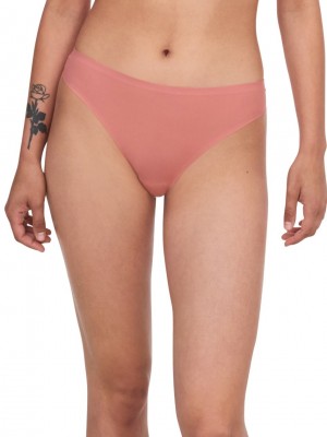 Coral Chantelle SoftStretch Women Thong Panty | WFM941BN