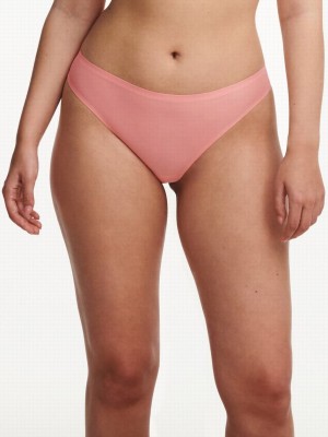 Coral Chantelle SoftStretch Women Thong Panty | WTL3871VD