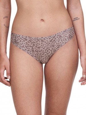 Grey Brown Leopard Chantelle SoftStretch Women Thong Panty | KBA2796SU