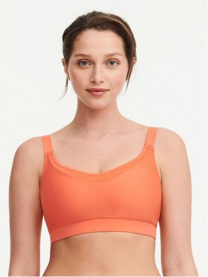 Orange Chantelle Everyday Sport Eco Comfort Low Impact Women Bra | OVV10021DX