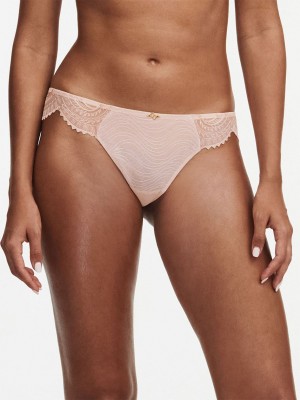 Pink Chantelle Mystic Dream Lace Women Thong Panty | PTY1529QX