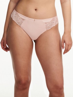 Pink Chantelle Orangerie Dream Women Thong Panty | MDO5118TC