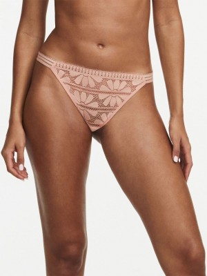 Pink Chantelle Sofie Lace Women Thong Panty | KUF1869XO