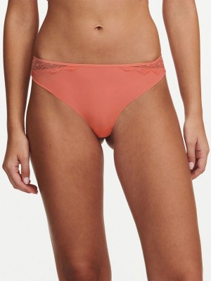 Pink Coral Chantelle Georgia Women Thong Panty | RLS4470DZ