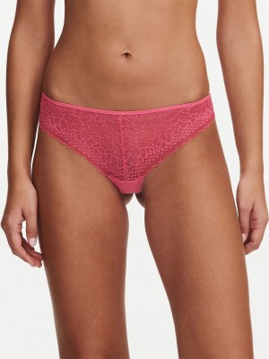 Pink Coral Chantelle Pila Women Thong Panty | FDU8389JY