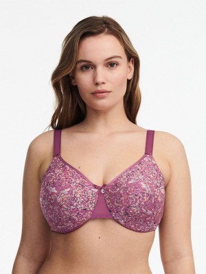 Purple Chantelle C Magnifique Seamless Minimizer Women Unlined Bra | QOU1619CN