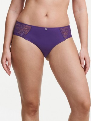 Purple Chantelle Naya Lace Women Hipster Panty | LWU274YI