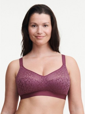 Purple Chantelle Norah Comfort Supportive Wirefree Women Bras | QGZ9258AD