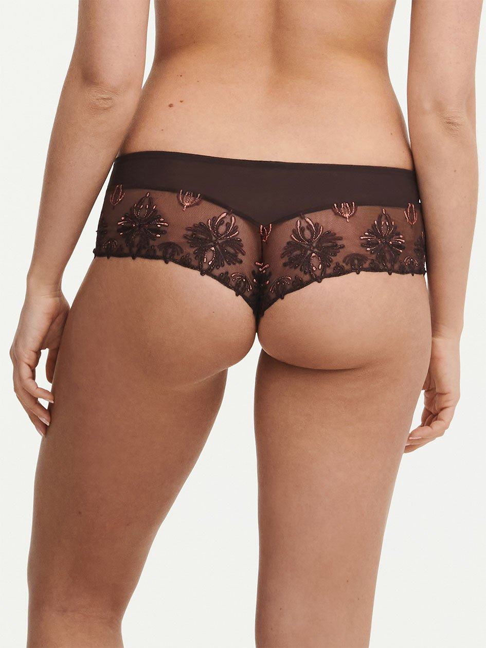 Brown Chantelle Champs Elysees Lace Women Hipster Panty | IMQ887QE