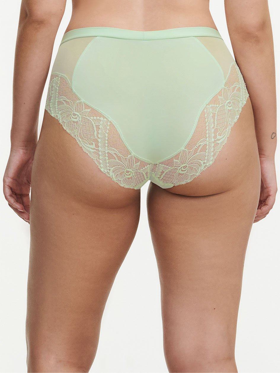 Green Chantelle Orangerie Dream High Waist Women Briefs | NOR4880DH