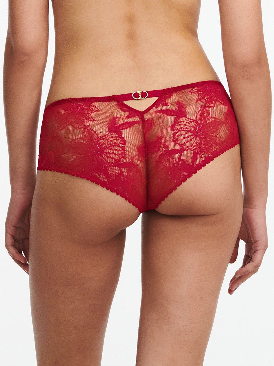 Red Chantelle Orchids Women Hipster Panty | BRY264JS