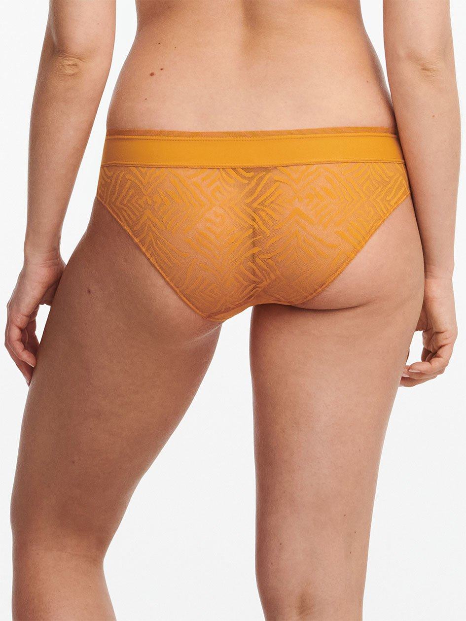 Yellow Chantelle Graphic Allure Lace Women Bikini Bottoms | PJL5766WF