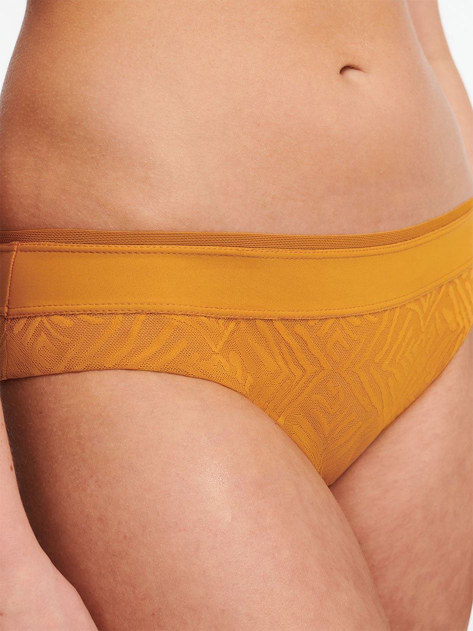 Yellow Chantelle Graphic Allure Lace Women Bikini Bottoms | PJL5766WF